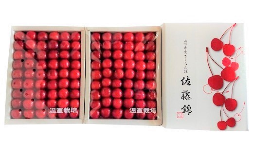 早旬さくらんぼ（佐藤錦）６００ｇ　手詰め　0060-2602