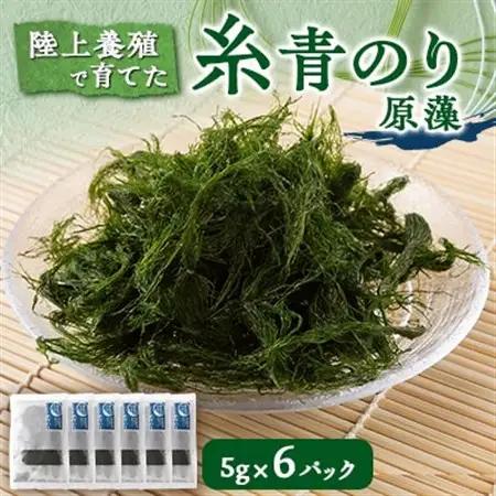 陸上養殖あおのり(原藻)　5g×6パック_魚介・海産物 海苔 海藻 のり ノリ_【1542686】