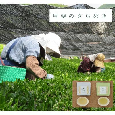 ふるさと納税 南部町 令和7年産【新茶】プレミアムリーフティー「甲斐のきらめき」(白鳥・天子)