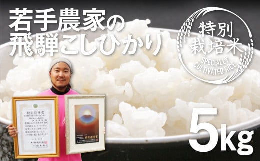 《先行予約》令和8年産 こしひかり 5kg 特別栽培米 食味コンクール受賞農家の特別栽培米コシヒカリ 米 新米 白米 お米 池本農園
