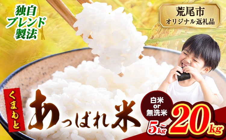 
            無洗米 も選べる 熊本県産 くまもとあっぱれ米 ブレンド米 5kg 10kg 15kg 20kg 熊本県産 ふるさと納税 無洗米 白米 精米 米 こめ ふるさとのうぜい コメ お米 おこめ《12月中旬-2月末頃出荷》
          