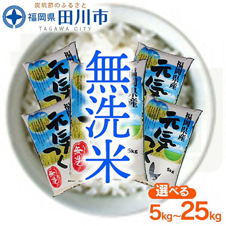 【ふるさと納税】福岡県産元気つくし 無洗米 5kg 10kg 25kg お取り寄せグルメ お取り寄せ 福岡 お土産 九州 ご当地グルメ 福岡土産 取り寄せ 福岡県 食品