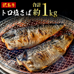 訳あり トロ 塩さば 1kg サバ