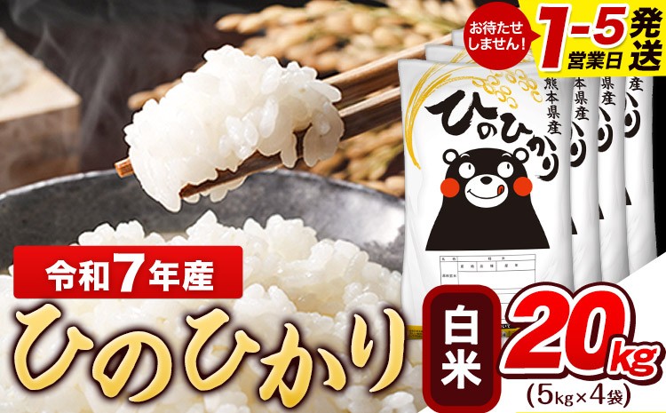 
                   令和7年産 白米 ひのひかり 20kg《1-5日以内に出荷予定(土日祝除く)》  令和7年産 熊本県産 ふるさと納税 白米 精米 ひの 米 こめ ふるさとのうぜい ヒノヒカリ コメ お米 おこめ
                