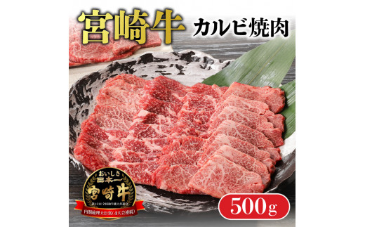 
宮崎牛カルビ焼肉 500g　N0140-ZA0206
