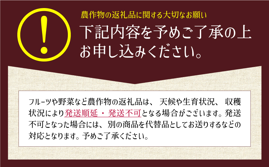 《先行予約!》採れたてスイートコーン 恵味スター 3L・12本セット とうもろこし 池部農園 熊本 産山村 阿蘇 野菜《2026年7月中旬-8月中旬出荷》 ---ubuyama_ibn_7_12p--