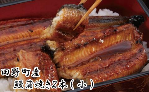 ★四国一小さなまち★田野町産うなぎの蒲焼き（小）２本
