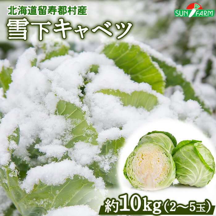 【ふるさと納税】雪下キャベツ 約10kg 2 きゃべつ 越冬 オンライン 申請 ふるさと納税 北海道 留寿都 野菜 旬野菜 季節野菜 甘い みずみずしい 産地直送 新鮮 採れたて サラダ ポトフ 野菜炒め 汁物 カレー 約10キロ 留寿都村【24010】