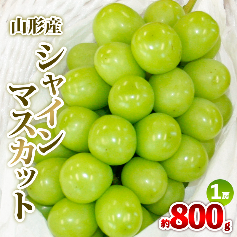 山形産 シャインマスカット 約800g 1房 秀品 【令和8年産先行予約】FS25-607