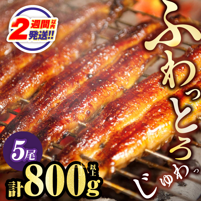 【2週間以内発送】うなぎ蒲焼5尾(さんしょう・たれ付き)計800g以上 鰻 魚 魚介 加工品 国産_T026-0039-2W【人気 ギフト 食品 おかず 惣菜 高級 お土産 贈り物 送料無料 プレゼン