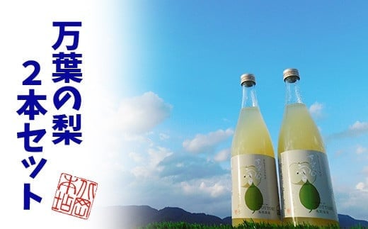 鳥取県産梨リキュール「万葉の宴」2本セット