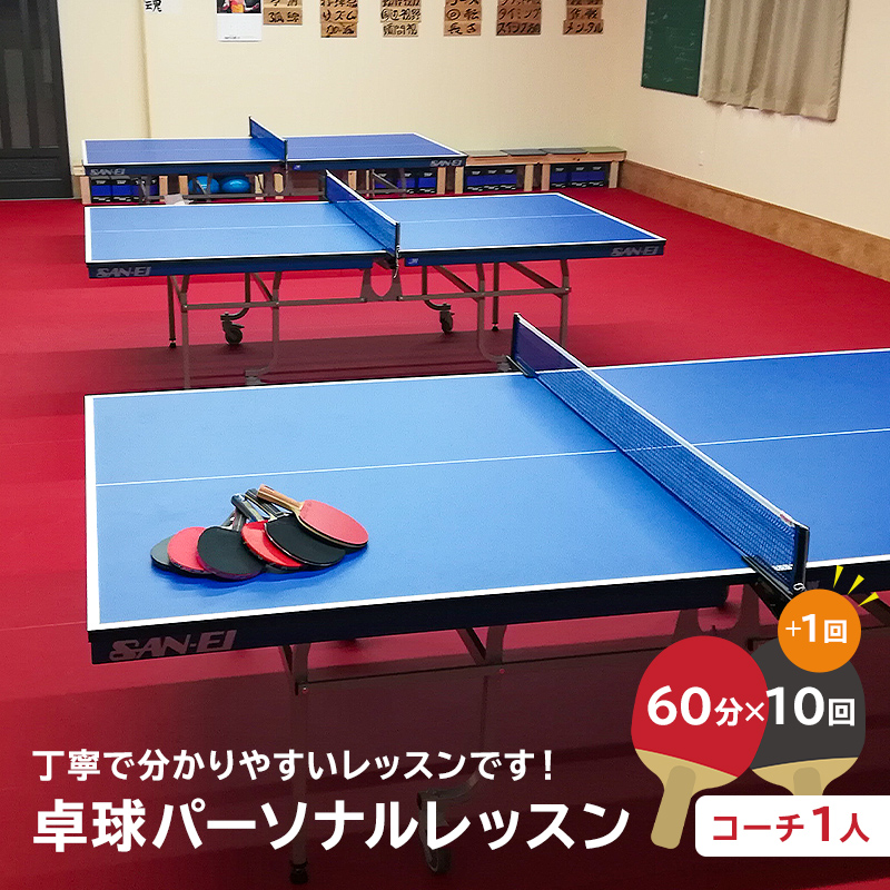 卓球パーソナルレッスン（60分×11回）コーチ１人【0075-004】