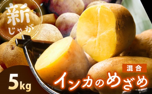 
                  《！数量限定！》【新じゃが】インカのめざめ 混合サイズ 5kg | 北海道野菜 野菜 じゃがいも ジャガイモ 芋 いも 馬鈴薯 新じゃが 新じゃがいも インカのめざめ インカ めざめ インカの目覚め インカのめざめ5kg 5kg 5キロ 黄色いじゃがいも 黄金色 ホクホク 煮崩れしにくい 煮物 揚げ物 フライドポテト ポテトサラダ 常備野菜 お取り寄せ 北海道 恵庭市 恵庭【83000903】
                