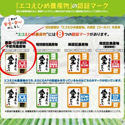 ふるさと納税 松山市 愛媛県産『エコえひめ農産物』の認証(ゴールド)を取得 池田農園の美味しいコシヒカリ白米 |  | 02