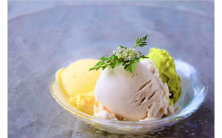 （冷凍） ベジタブル ジェラート 12個入り ／ 葛城山麓農園 アイス フルーツ 野菜 大和いも 抹茶 特産品 奈良県 御所市【ktrg0002】