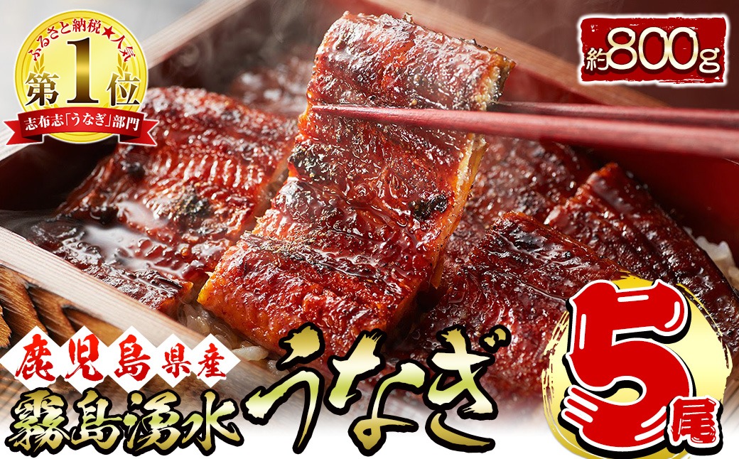 【お礼の品人気No1】霧島湧水鰻の蒲焼き 160g以上×5尾＜計800g以上＞ b8-038