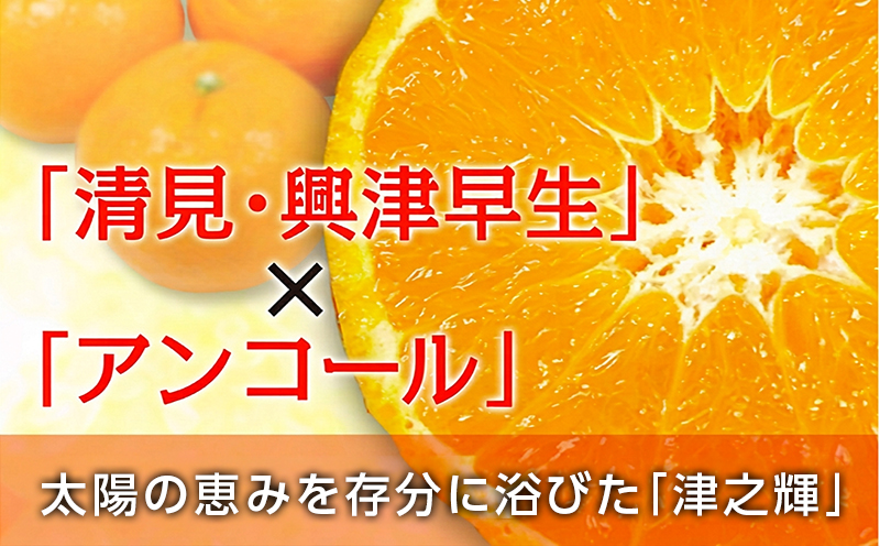 先行予約 津之輝 つのかがやき 4kg 希少 L ～ 4L フルーツ 果物 くだもの 柑橘 みかん ミカン 蜜柑 2027年 令和9年発送 国産 食品 おすすめ デザート おやつ みかんジュース ギフ