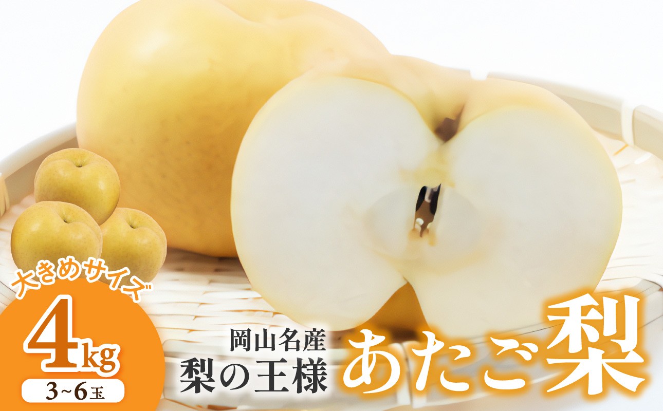 
                  【選べる配送年】岡山名産 あたご梨　秀品　約4kg（3〜6玉）【あたご梨 秀品 梨 フルーツ くだもの 果物 岡山県産 2026年 2027年 令和8年 令和9年】
                