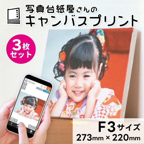 キャンバスプリント F3サイズ 3枚セット フォト 写真 パネル オーダー 印刷 アート ファブリックパネル インテリア