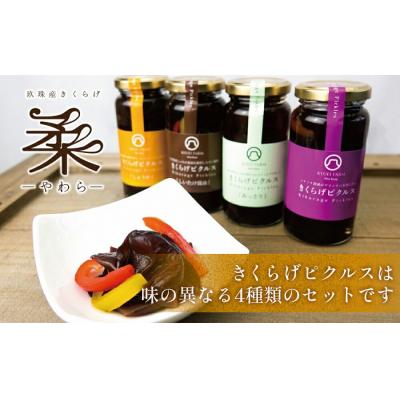 ふるさと納税 玖珠町 きくらげピクルス(4種)と乾燥きくらげのセット |  | 03