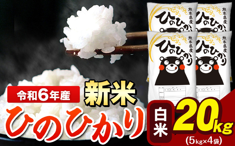 
            令和6年産 新米 早期先行予約受付中  ひのひかり 白米 20kg 《11月-12月より出荷予定》 5kg×4袋 熊本県産（荒尾市産含む） 米 精米 ひの
          