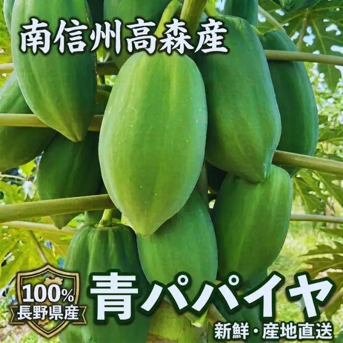 南信州高森産 青パパイヤ 3kg