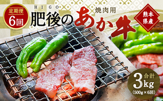 
【定期便6回】 肥後のあか牛 焼肉用 500g ( 熊本県産 和牛 ) 牛肉 あか牛
