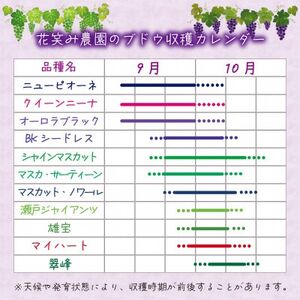 岡山　花笑み農園の『シャインマスカット＆瀬戸ジャイアンツ』1kg(2房)　GS-1【配送不可地域：離島・北海道・沖縄県】【1627775】