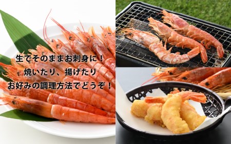 厳選！海鮮BBQ 人気ペアセット「天然さざえ＆天然赤エビ」約4～5人前（サザエ1㎏ 赤えび10尾)【バーベキュー 冷凍 】 [e04-a061]