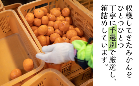 みかん 手選別有田みかん 3kg ※11月下旬～翌年1月中旬頃順次発送予定 【hdm004A】