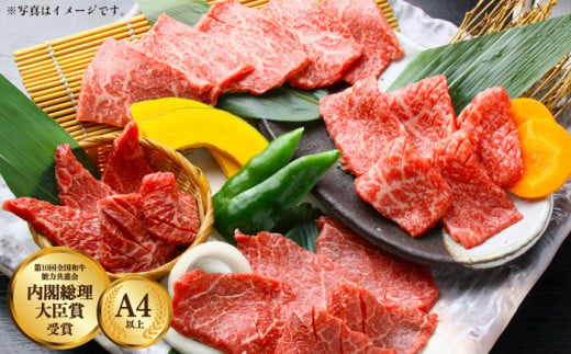 長崎和牛 すき焼き・焼肉セット 各500g 1kg 食べ比べ【川下精肉店】 [OAA003] / 牛肉 冷凍 鉄板焼 長崎県産 和牛 国産牛 焼肉 BBQ にく 肉 セット 詰合わせ