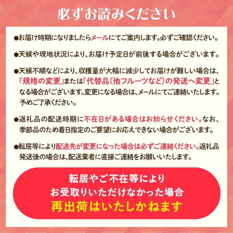 《先行受付》山形県大江町産「樹上完熟 ラフランス」約3kg 特秀 3L～4L 7玉～9玉【2026年11月中旬頃～順次発送予定】 004-014
