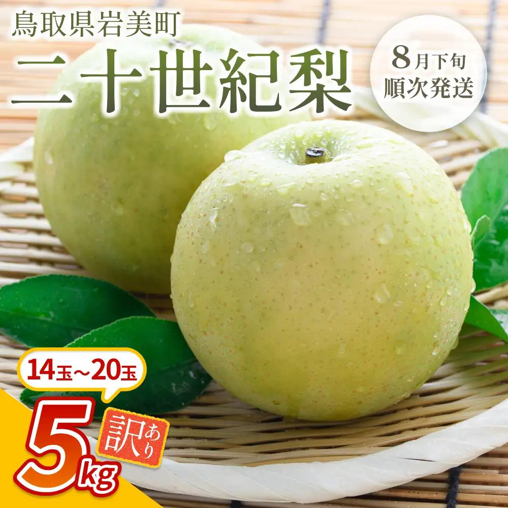 【先行予約】（訳あり）中野農園 梨 ”二十世紀梨” 5kg箱｜鳥取 岩美 梨 なし ナシ※お届けは2026年8月下旬以降【41027】