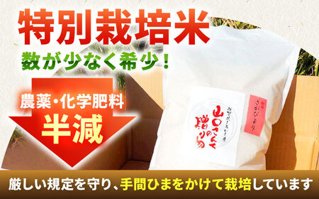 【令和7年11月以降順次発送】【令和7年度産】 特別栽培米 さがびより（玄米） 5kg 【y'scompany】[IAS021]