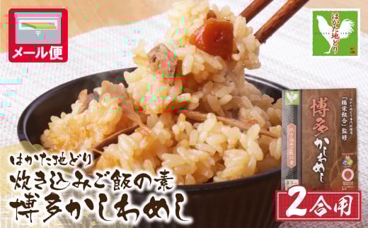 W56-05 炊き込みご飯の素 博多かしわめし 2～3人前 2合用 109g 岡県 はかた地どり おにぎり お弁当 お試し メール便 送料無料