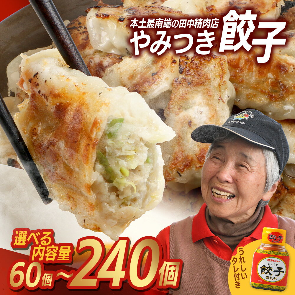 【ふるさと納税】《リピーター続出！》佐多の田中肉屋 ニンニクたっぷりやみつき餃子 (60個・120個・180個・240個） | ぎょうざ 餃子 ギョウザ 豚肉 ひき肉 にんにく スタミナ餃子 焼くだけ 簡単 小分け 大容量 手作り お惣菜 おかず 保存料不使用 冷凍 鹿児島県 南大隅