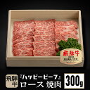 【ふるさと納税】飛騨牛 A5等級 ロース 300g 焼肉 飛騨牛 ブランド牛 A5ランク ハッピープラス 飛騨高山 TR4080