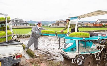 【6ヶ月定期便】日永園 ヒノヒカリ 白米10kg×6ヶ月 【2025年11月下旬より発送予定】 米 お米 ご飯  うきは市