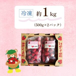 冷凍いちご（古都華）1ｋｇ【mbi01】