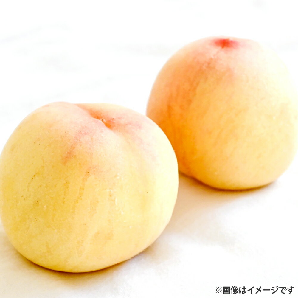 【ふるさと納税】【ご家庭用】岡山白桃 5～7玉（約1.5kg以上） 白桃 桃 もも モモ フルーツ くだもの 果物 果実 デザート 日川白鳳 加納岩白桃 早生白鳳 清水白桃 川中島白桃 瀬戸内白桃 恵白 冷蔵 岡山県産 国産 岡山県 倉敷市 送料無料 【2026年6月下旬～8月下旬発送予定】