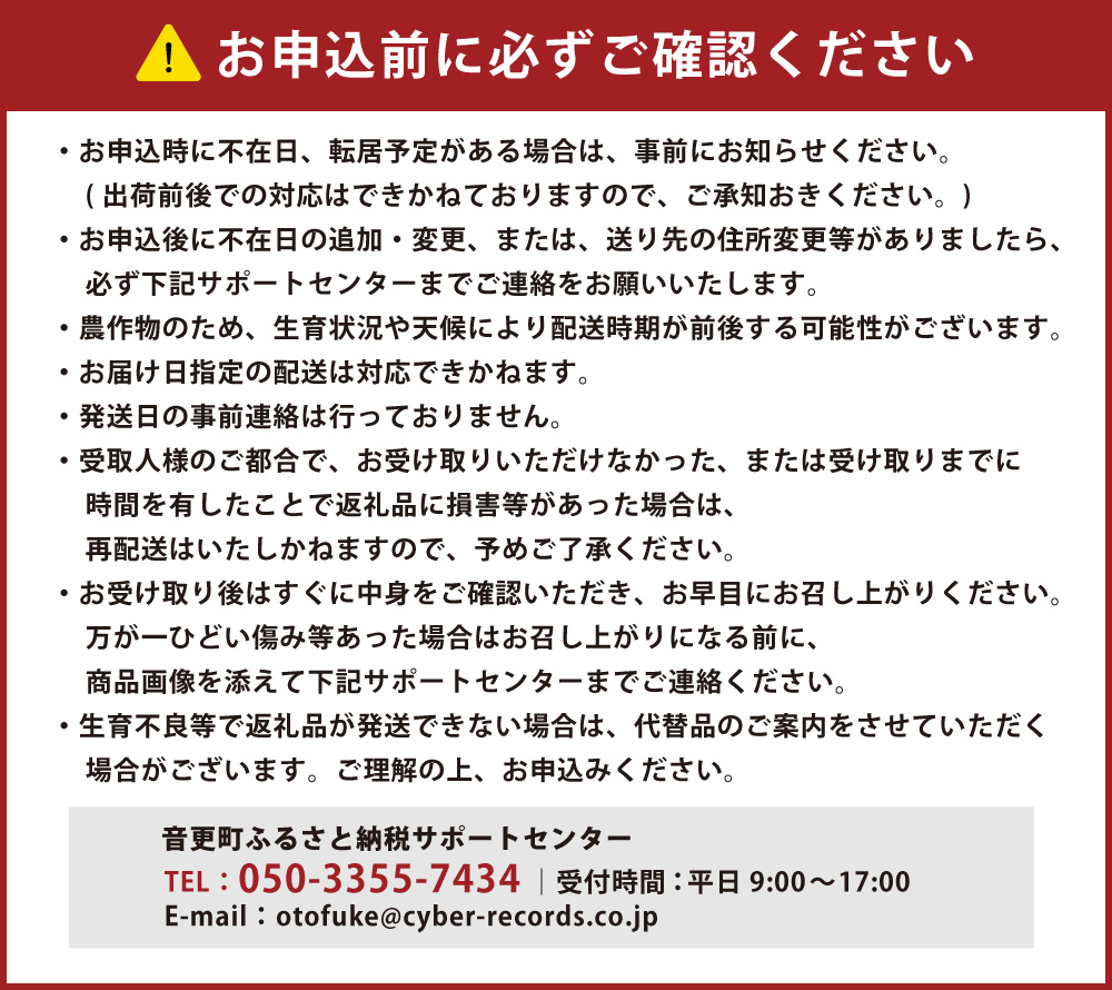 北海道十勝産ながいも 6本セット【A51】