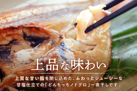 【どんちっちブランド】 のどぐろ一夜干し(120g~150gx6枚)【1833】