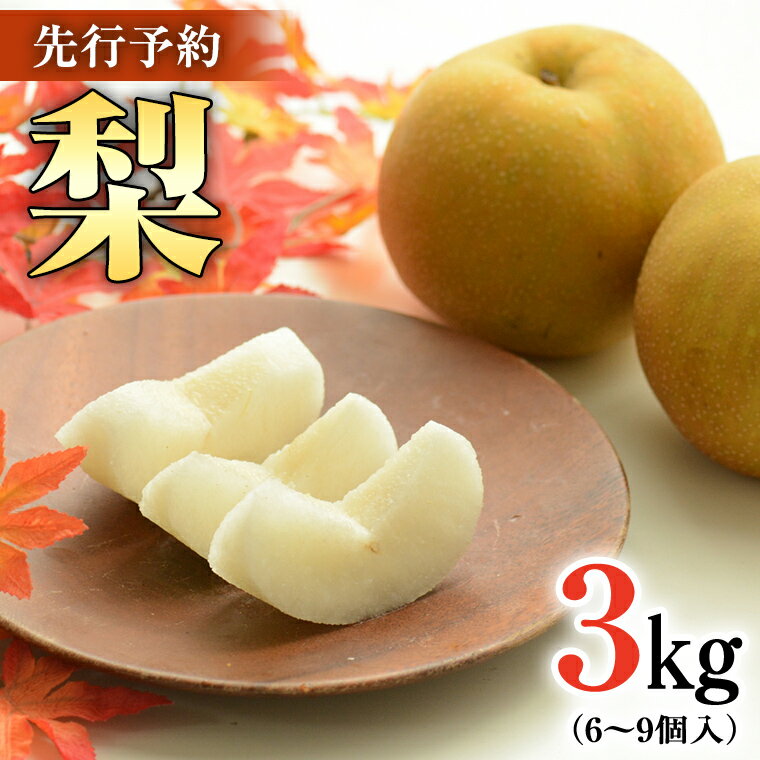 【ふるさと納税】農園が選ぶ！おまかせ 梨 3kg 【7月下旬発送開始】 ナシ なし 果物 フルーツ デザート 秋 茨城県 はつまる 夏しずく 幸水 豊水 あきづき 恵水 甘太 にっこり