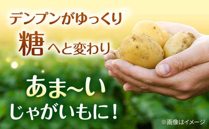 【先行予約商品】【5月中旬から発送予定！】氷室メークイン 5kg《厚真町》【とまこまい広域農業協同組合】 じゃがいも ジャガイモ 芋 メークイン 野菜 先行予約 北海道 [AXAB046]