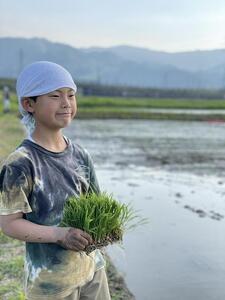 南魚沼塩沢産　従来型コシヒカリ　白米５ｋｇ×６回（定期便）
