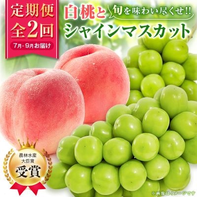 【発送月固定定期便】【農林水産大臣賞受賞!!】山梨の白桃とシャインマスカットの全2回　各1kg以上【配送不可地域：離島・沖縄県】【4005369】