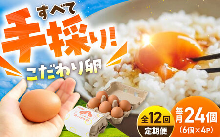 【12回定期便】あっぱれ卵 24個 /いとう養鶏場 [UAQ011] 卵 たまご 鶏卵