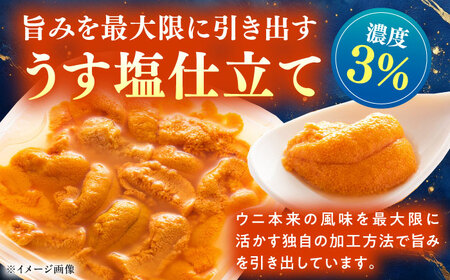 漁師の 塩ウニ 2本 【漁昇丸水産】《対馬市》うに 瓶 ビン 海鮮 冷凍[WBU003]