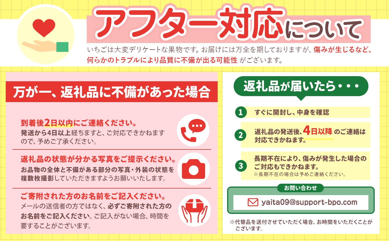 [2月以降発送]いちごの新定番 ★とちあいか★ 12～15粒×2P 2027年 1月～4月上旬発送！【2027年先行予約】栃木県 矢板市産 【2月以降発送】単品 |  14,000円