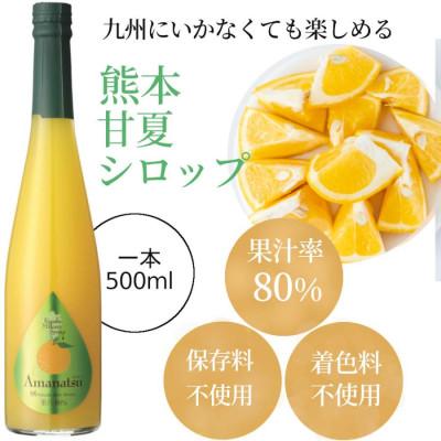 ふるさと納税 水俣市 九州を飲む! 九州果実 シロップ 甘夏 500ml 1本 【福田農場】 |  | 01